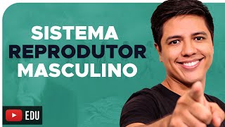 SISTEMA REPRODUTOR MASCULINO - REPRODUÇÃO HUMANA - Prof. Kennedy Ramos