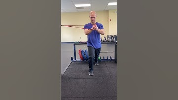 Band Split Squat Pallof Press
