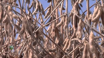 Building Your Soil #819 (Air Date 12/15/13)