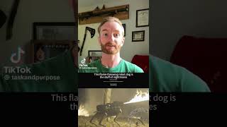 🔥 Flame throwing 🤖 bot dog 🐾 #ai #ainews #money