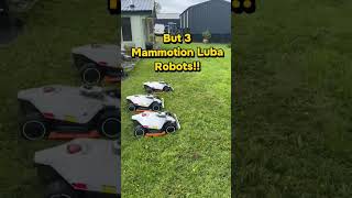 One property. Three Mammotion LUBA robot mowers. One seriously impressive setup. 🔥#growitmowit #luba