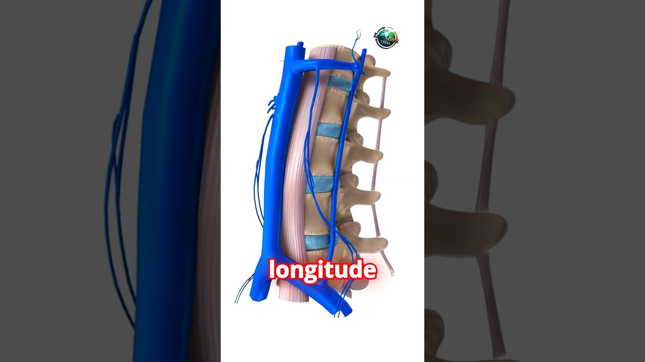 The Shape of Colorado Is Hiding a 697 Sided Secret!