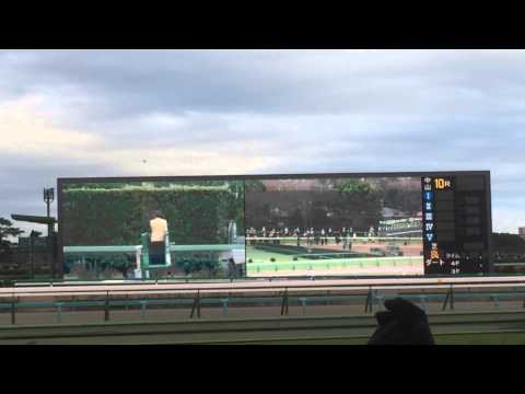 有馬記念 2015 ファンファーレ