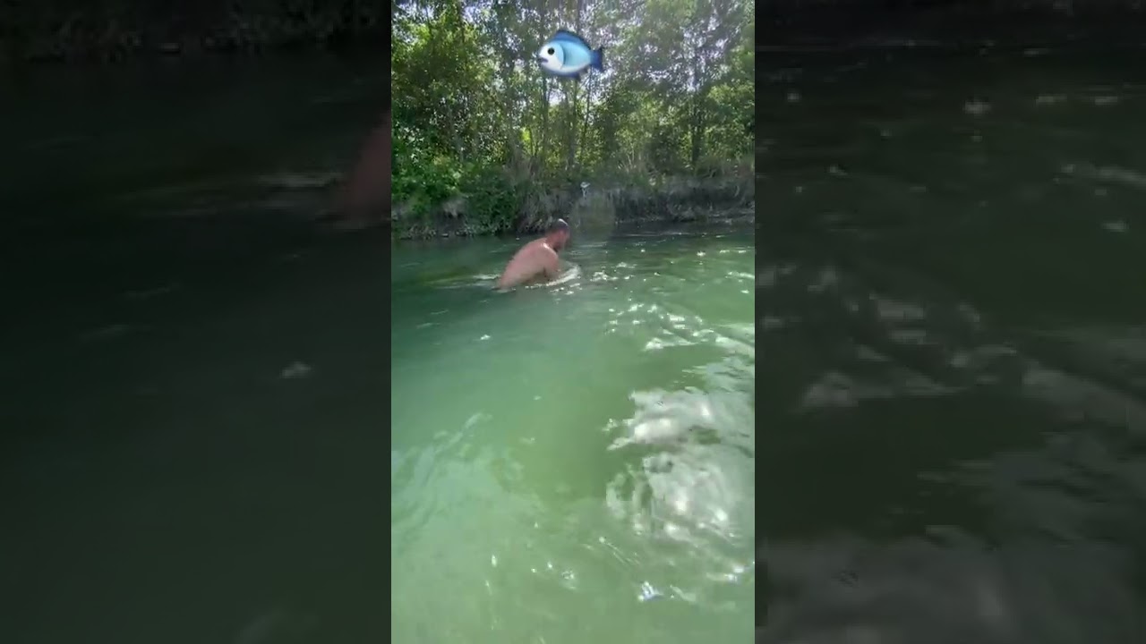 Peshku 🐟 më i madh që kemi kap gjat zhytjeve në ujë me fellsi deri në 5  Metëra