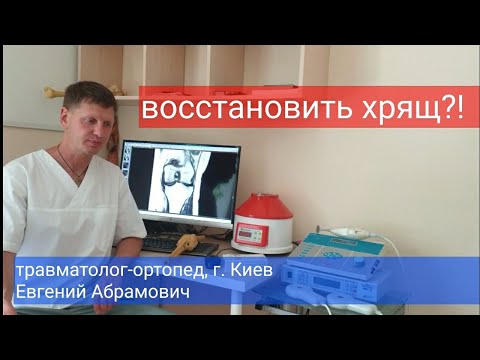 Видео: Хрящи и хрящи - это одно и то же?