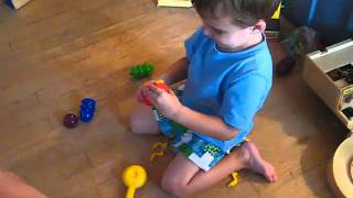 Cootie bug