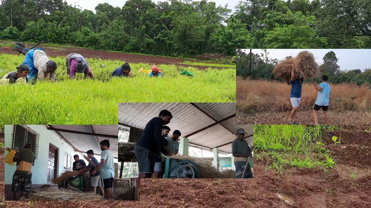 going-to-hometown-part-2-youtube