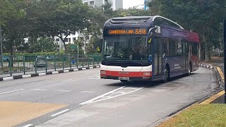 (Mediacorp • Trusted News For Our Community FBA) SMB278B(MDDEP) Service 861B At Yishun Avenue 6
