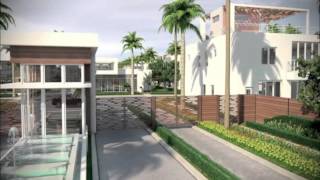Modern Doral