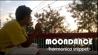 Video thumbnail of "Moon Dance (August Rush)- Harmonica Snippet"