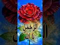 Powerful Islamic insights| powerful names of Allah #islamicreminder#shorts #islamicstatus#shortsfeed