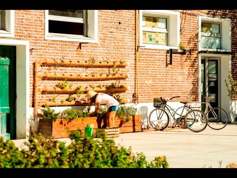 Un curso para aprender a hacer huertas en casa intangible