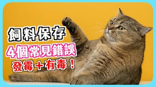 貓飼料保存指南4個常見錯誤飼料桶推薦 #貓咪大學 32 #貓老闆