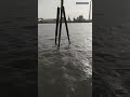 fishing10 fishing#fishing