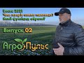 Обираємо фунгіцид на пшеницю.Септоріоз та борошниста роса: чим боротися? Сорт Шестопалівка.