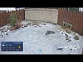 2026 01 17 Tierrettungsstation MAKOV,  guten Morgen😀wünscht Storch, Schnattchen und Otter😀😀