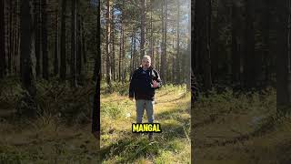 Akyarma Geçidi Şfet