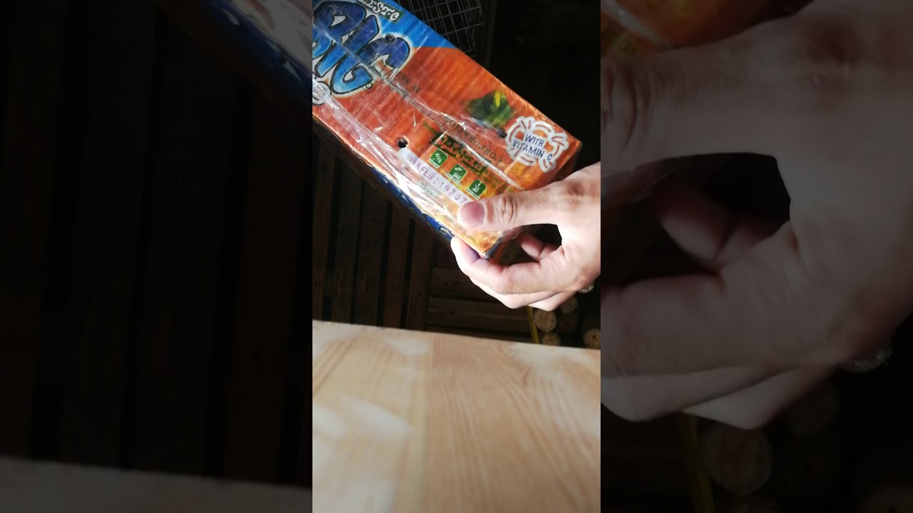 African lovebird..  Blue Opaline/palefallow dna cock Unboxing..