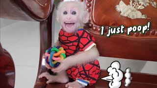Baby Monkey SUGAR Screams Calling Mom Change Diaper after Accidental Poop