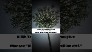 El-Kelâm Allâhın Kelamı Yaratılmışların Kel Benzemez Ünnet