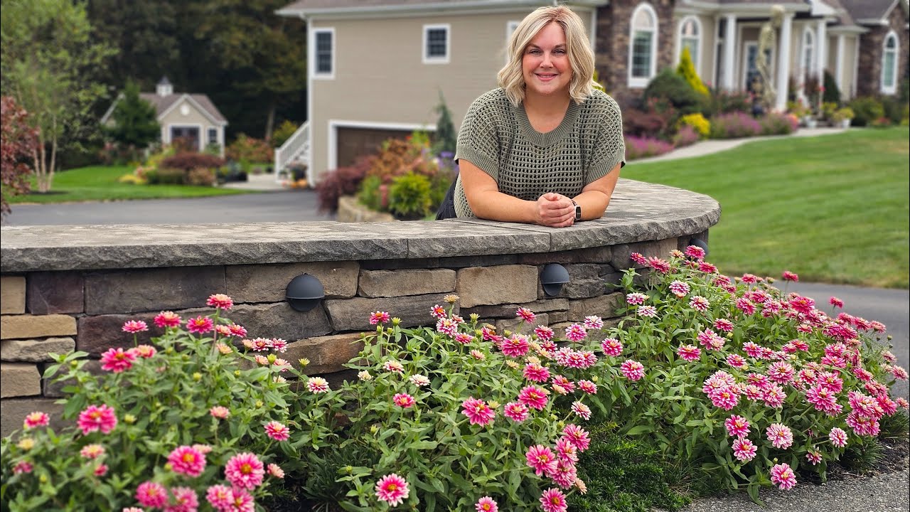 4 Must-Grow Flowers for Your Garden! Easy, Long-Lasting Blooms to Grow From Seed.