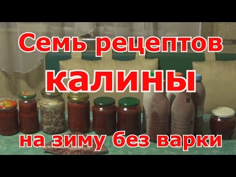 Семь рецептов из калины на зиму без варки. Проверенные рецепты. Как сохранить максимум витаминов.