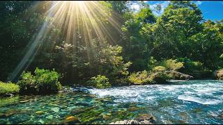 Pure Serenity River ASMR 🌊 No Rain No Music – Calm Water Sounds for Deep Sleep