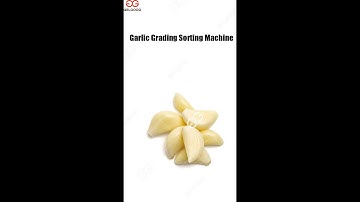 Peel Garlic Grading Sorting Machine