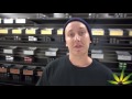 Indoor Grown vs. Outdoor Grown by Cannabis Frontier | ASK A BUDTENDER