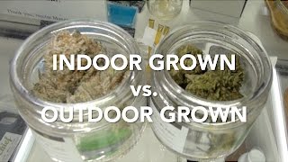 Indoor Grown vs. Outdoor Grown by Cannabis Frontier | ASK A BUDTENDER