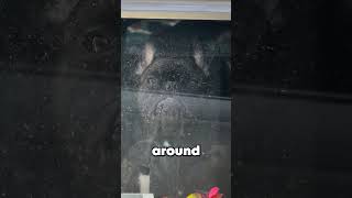 That's Emotional Blackmail Right There!