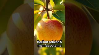 5 manfaat buah srikaya yang kalian harus tahu #doctor #kesahatan #shorts