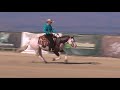 Titan's 2019 Reining By The Bay Open Derby Reserve Championship Run