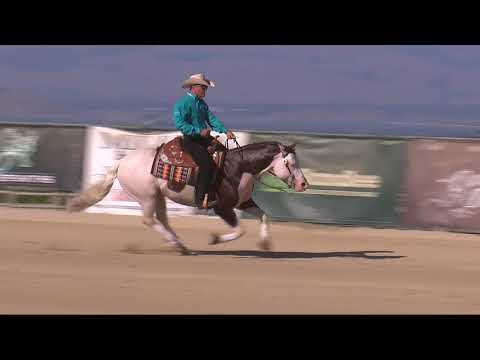 Titan's 2019 Reining By The Bay Open Derby Reserve Championship