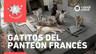 A A - Gaos Del Panteón Francés 01112025