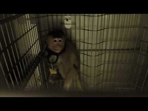 ✦BEHIND CLOSED DOORS INSIDE ITR LABS IN CANADA✦