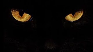 Hippie sabotage- Devil eyes