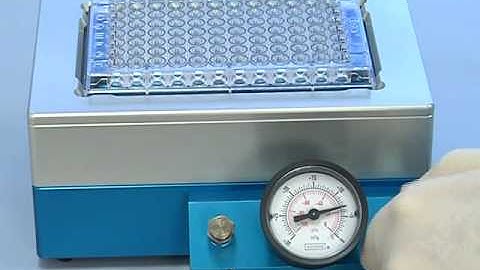 7 of 9 MultiBead: Using A Vacuum Manifold