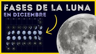 All the PHASES OF THE MOON DECEMBER 2024 🌕 DAILY lunar calendar for December #lunarcalendar