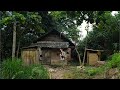 A Young Man Returns To Visit His Old Home The Love For Two Kittens Thanh Duong A Young Man Returns To Visit His Old Home The Love For Two Kittens Thanh Duong