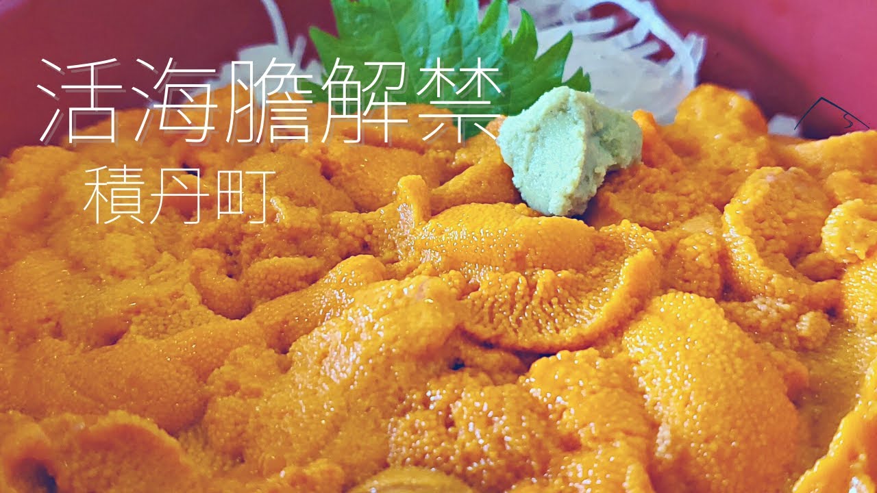 北海道最著名的海膽聖地積丹半島，吃過必成回頭客 | 積丹半島 | Gourmet