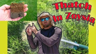 Thatch in Zoysia Grass!!! How to Maintain and Get Rid of Thatch in Zoysia Turf!!