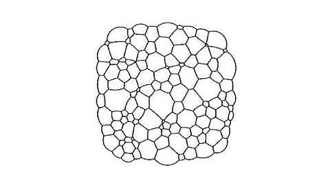 2D Dry Foam: Coarsening example using parallel methods