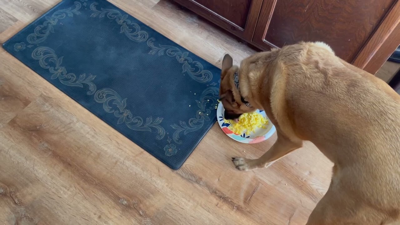 Breakfast in Poway ￼