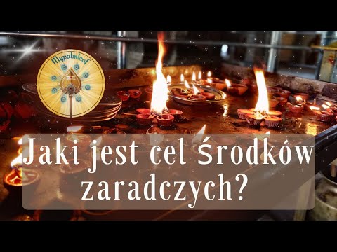 Wideo: Jaki jest cel liścia?