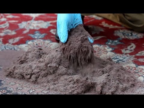 There's a disgusting amount of dust hidden in your carpets