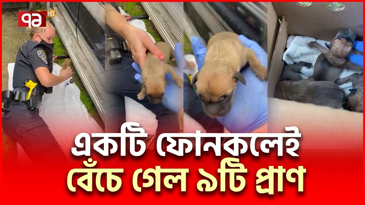 ভ্যানের নিচ থেকে কুকুরছানা উ/দ্ধা/র | Puppy rescued | Ekattor TV