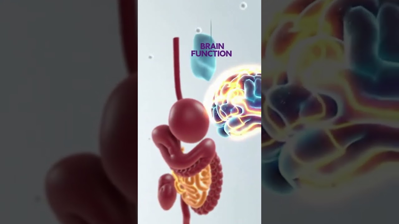 Benefits of Mixed Dry Fruits Blend | Heart, Brain, Immunity & Digestion  