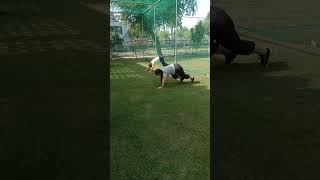 workout in Canada Embassy in India #personal training in Canada Embassy #Animal flow #beer walk arms