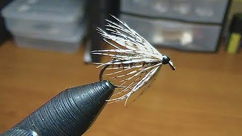 fly tying with hugh! partridge and peacock soft hackle.